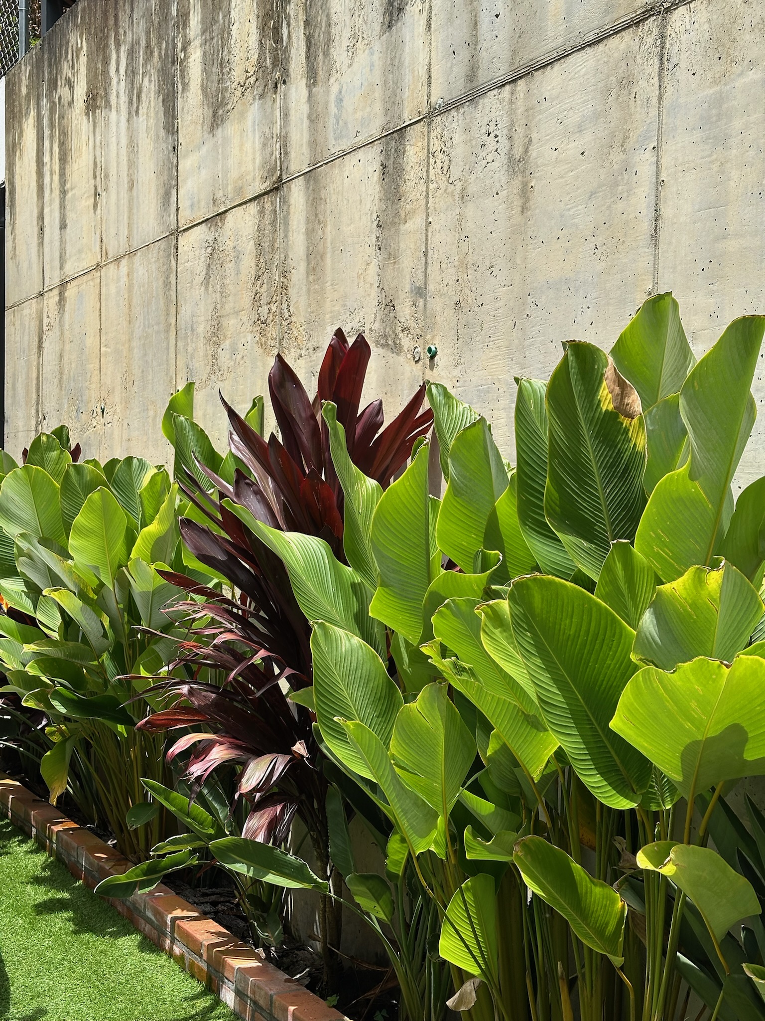 Paisajismo y diseño de jardines