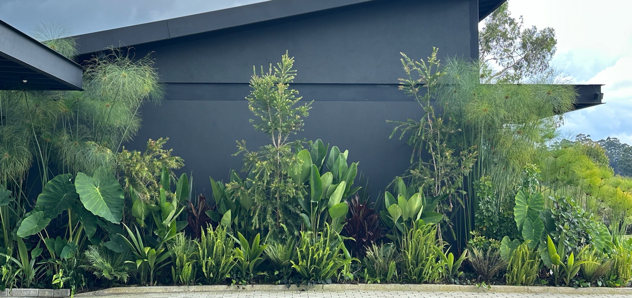 Jardín diseñado por Plantama